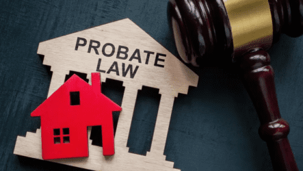 What Legal Rights Do Heirs Have in Houston Probate Court?
