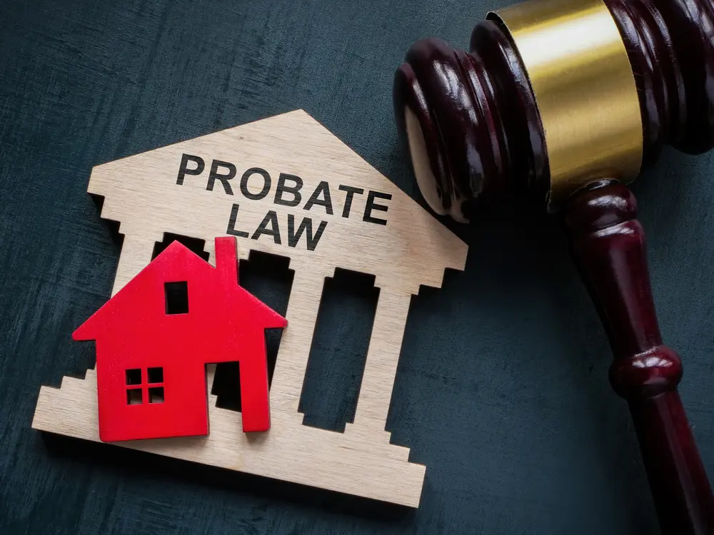 What Legal Rights Do Heirs Have in Houston Probate Court?