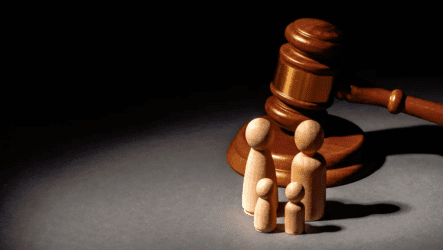 What Are the Implications of Guardianship Litigation in Texas?