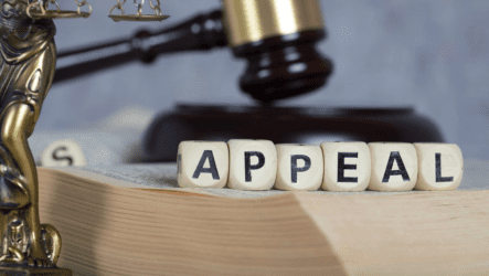 What Are the Steps to Appeal a Probate Court Decision in Dallas?