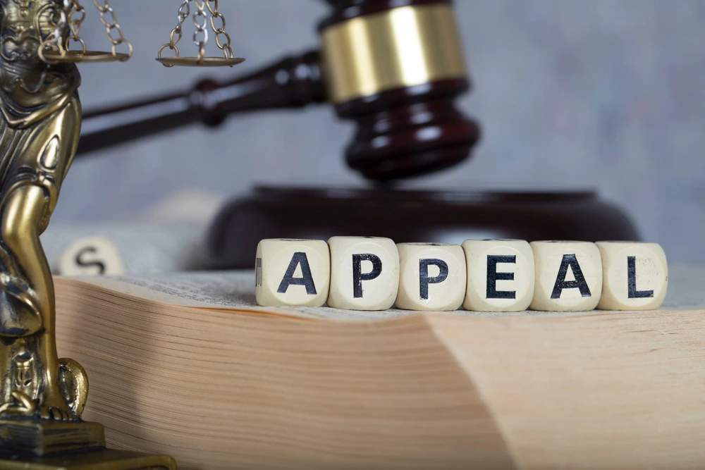 What Are the Steps to Appeal a Probate Court Decision in Dallas?