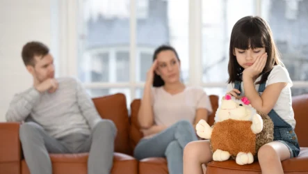 Psychological Impact of Guardianship Disputes on Families